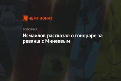 Исмаилов рассказал о гонораре за реванш с Минеевым