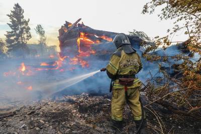 Новый крупный пожар в Зауралье: сгорели семь строений, в том числе два дачных домика