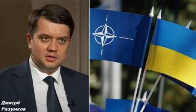 Разумков сделал прогноз о сроках вступления Украины в НАТО
