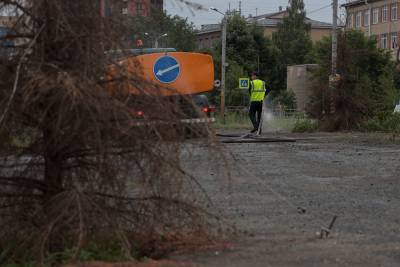 В Челябинске пересадили семь деревьев из 500 засохших