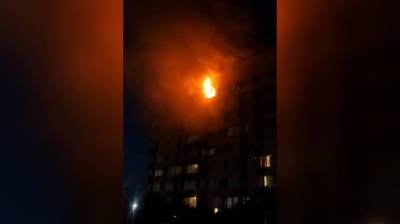 Мощный пожар в квартире под Воронежем сняли на видео