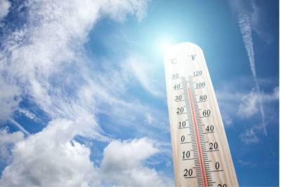 Новгородцев предупредили о 37-градусной жаре