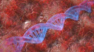 Учёные смогли обнаружить ген умственной отсталости у человека