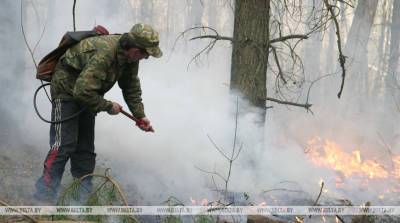 Минлесхоз: за выходные произошло 10 лесных пожаров