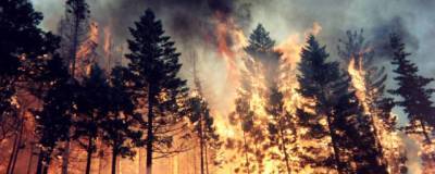 В Кирово-Чепецком районе загорелось больше 30 гектаров леса