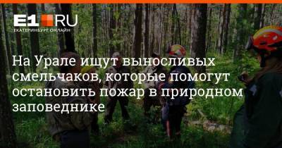 На Урале ищут выносливых смельчаков, которые помогут остановить пожар в природном заповеднике