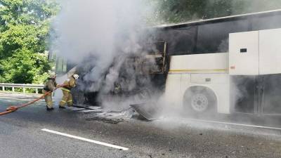 Девять человек пострадали при столкновении двух автобусов на Кубани