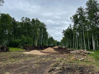 Жители поселка на Урале сообщили в прокуратуру о фирме, рубящей лес рядом с их домами