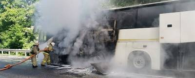 На Кубани столкнулись два автобуса, пострадали девять человек