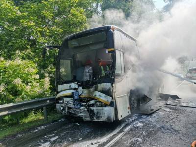 Два автобуса с детьми столкнулись на Кубани. 16 человек пострадали