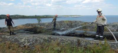 Добровольцы потушили за выходные три пожара в Ладожских шхерах в Карелии (ФОТО)