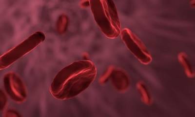 Немецкие ученые выяснили, что коронавирус способен влиять на свойства клеток крови