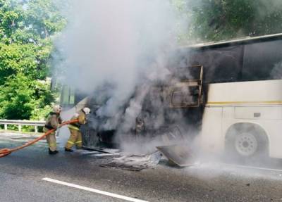 При столкновении двух автобусов на Кубани один вспыхнул, пострадали 15 детей и водитель