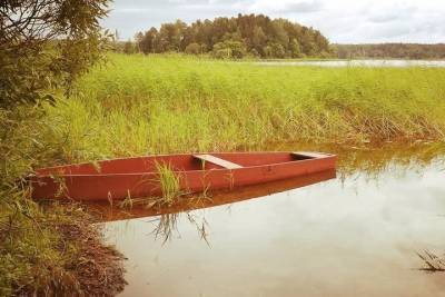 В Смоленской области подростки спасли девочку, которая тонула в озере