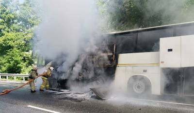 В России в результате столкновения 2 автобусов пострадали 15 детей