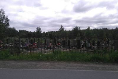 Кладбище около Вилги под Петрозаводском расширят