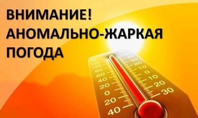 В Ульяновской области ждут опасную жару – местами до 37 градусов