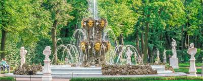 Петербурженка пожаловалась на детей в фонтанах Летнего сада