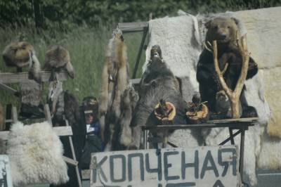 «Культ смерти»: активист обвинил Тверскую область в создании культа убийства животных