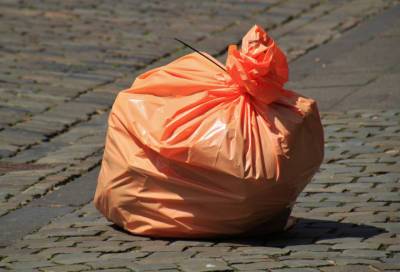 Региональный оператор решит вопрос транспортировки мусора с частных субботников ленинградцев