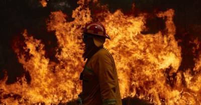 В Украине объявили наивысший уровень пожароопасности