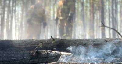 В Яунциемсе загорелся лес, огонь быстро распространяется
