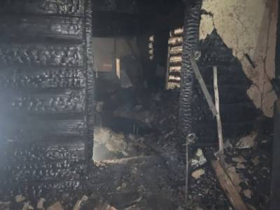В Курганской области на пожаре в частном доме погибла женщина. СУ СКР проводит проверку