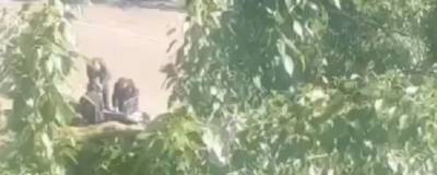 В Чите возле жилого дома обнаружили тело женщины