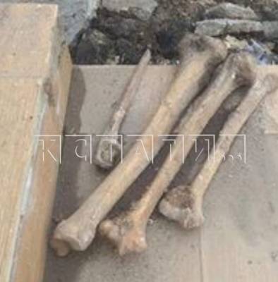 Останки обнаружены при ремонте улицы Кожевенной в Нижнем Новгороде