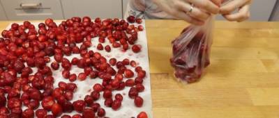 В Украине рухнули цены на клубнику, черешню и абрикосы