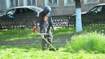 Подрядчик, занимающийся покосом травы в Вологде, не справился с поставленной задачей