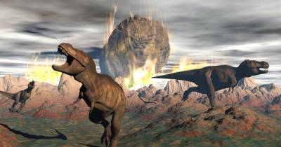 Динозавры могли умереть от двух ударов астероидов, один из них приземлился в Украине, – ученые - focus.ua