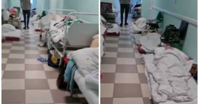 В Санкт-Петербурге COVID-больных размещают на полу в больнице (видео)