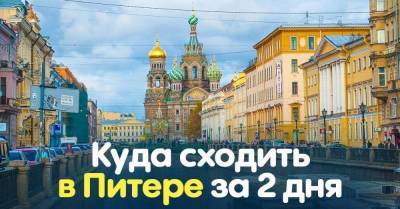 Что посмотреть в Северной Венеции, если повезло заглянуть в Санкт-Петербург на пару дней