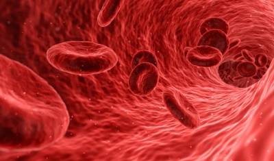 Ученые: COVID-19 деформирует клетки крови