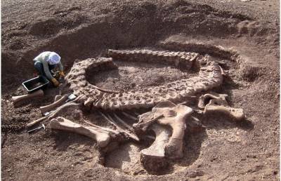 Палеонтологи разбежались в ужасе, когда увидели это: вот что раскопали в Китае