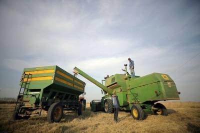 «Год пшеницы» в Сирии не задался: Россия спешит на помощь Асаду, засуха наступает