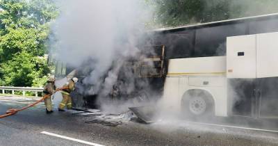Дело завели после ДТП с автобусами на Кубани, где пострадали дети
