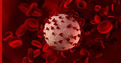 О влиянии COVID-19 на изменение клетки крови узнали ученые