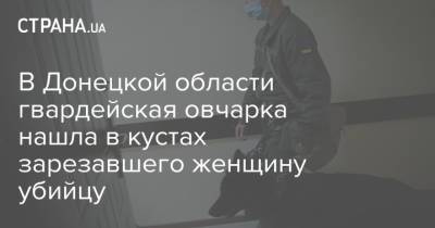 В Донецкой области гвардейская овчарка нашла в кустах зарезавшего женщину убийцу