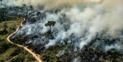 В России лесные пожары охватили площадь более 64 тыс. га
