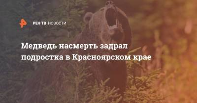Медведь насмерть задрал подростка в Красноярском крае