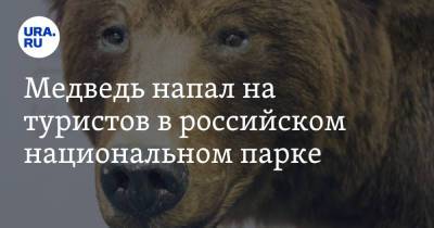 Медведь напал на туристов в российском национальном парке. Погиб подросток