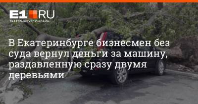 В Екатеринбурге бизнесмен без суда вернул деньги за машину, раздавленную сразу двумя деревьями