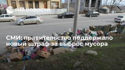 "Российская газета": правительство поддержало идею ввести штрафы за выброс мусора из машин