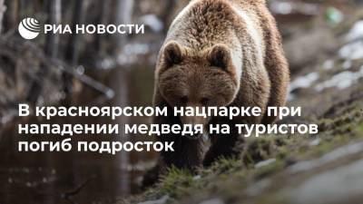 В нацпарке "Ергаки" в Красноярском крае подросток умер при нападении медведя на группу туристов