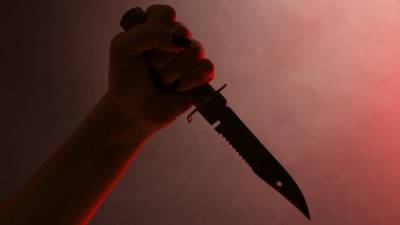 Ножом в сердце: Вожатая зарезала коллегу в подмосковном лагере