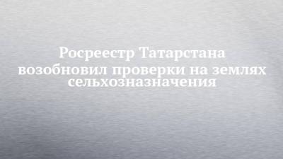 Росреестр Татарстана возобновил проверки на землях сельхозназначения