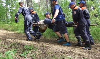Подросток погиб при нападении медведя на туристов в красноярском нацпарке «Ергаки»