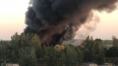 Черное облако дыма: площадь пожара на складах в Подмосковье выросла до 8 тысяч «квадратов»